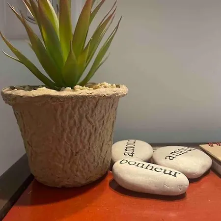 Le Joffre - Cosy Center 3 Min Walk Palais Des Festivals Apartment Cannes